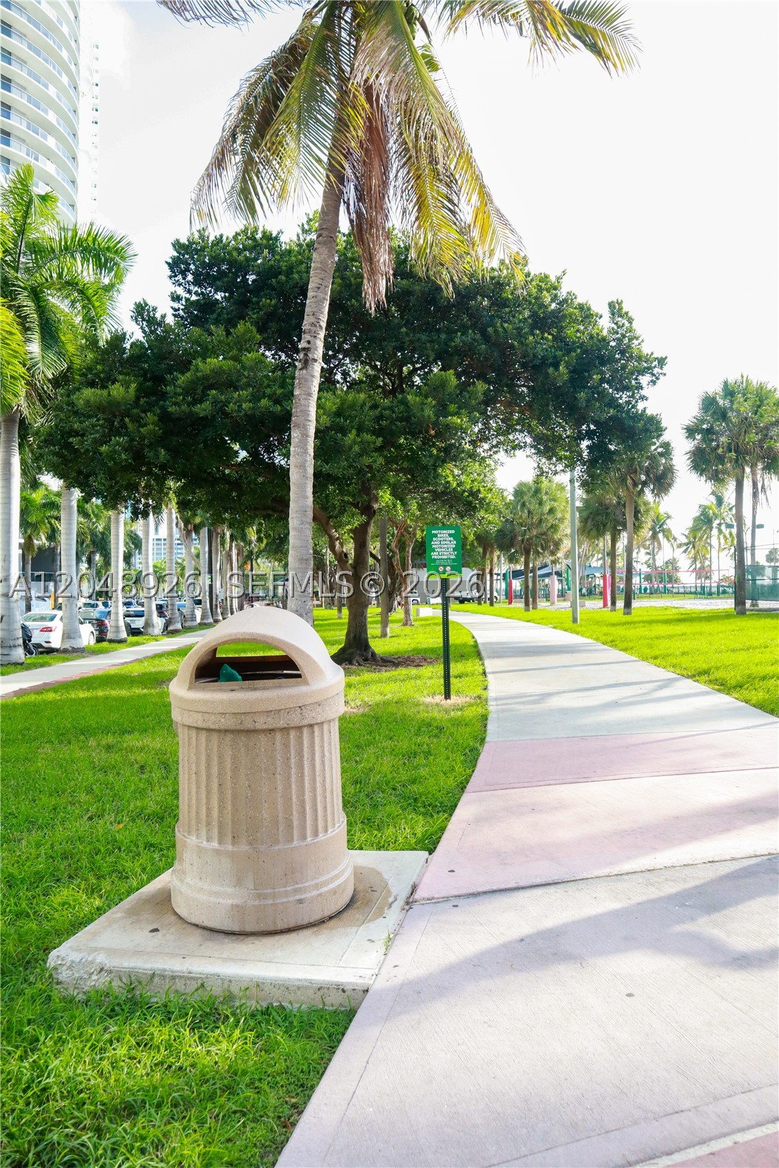 Miami photo 5