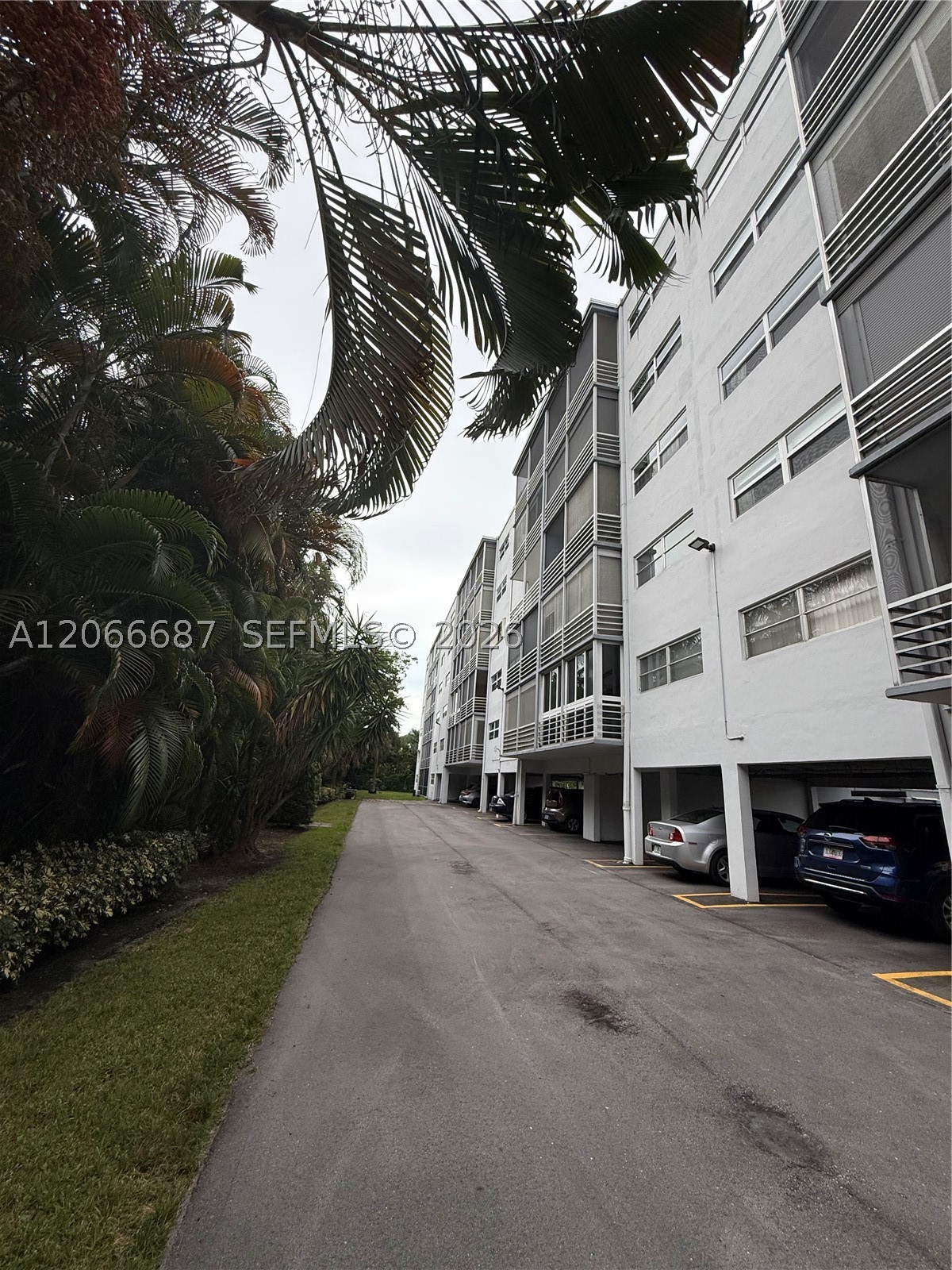 Hallandale Beach photo 2