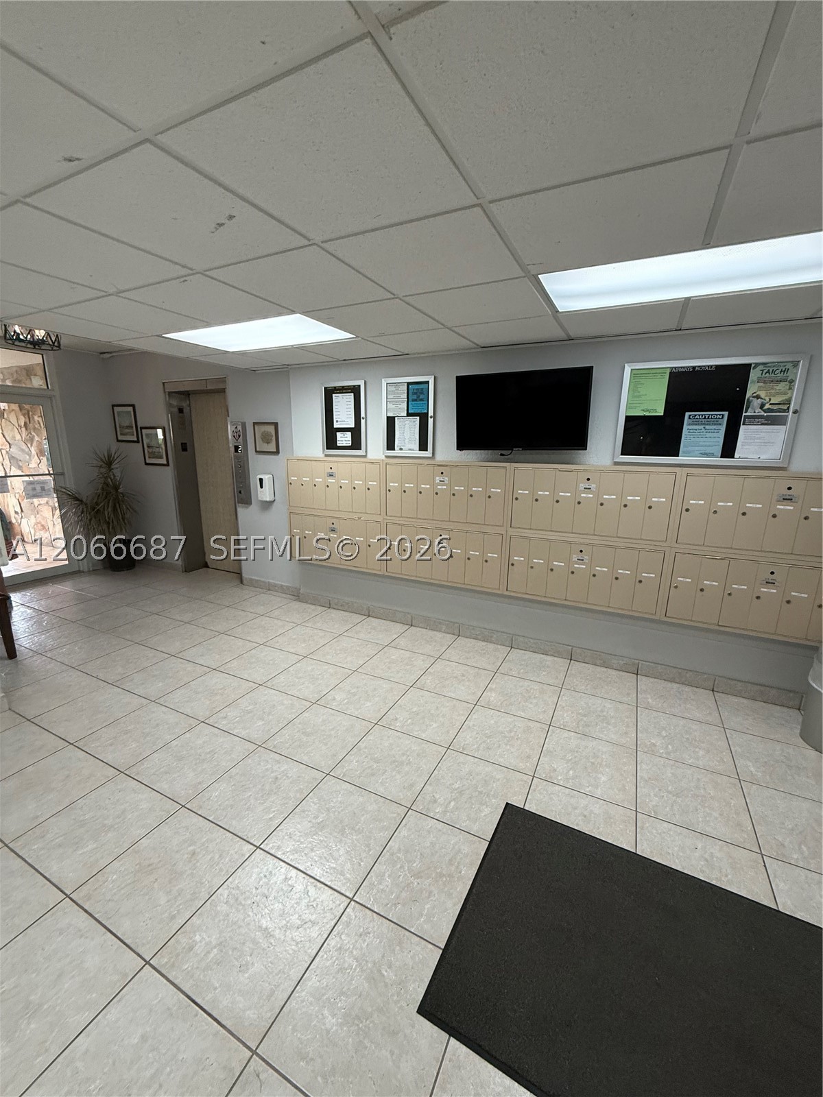 Hallandale Beach photo 5