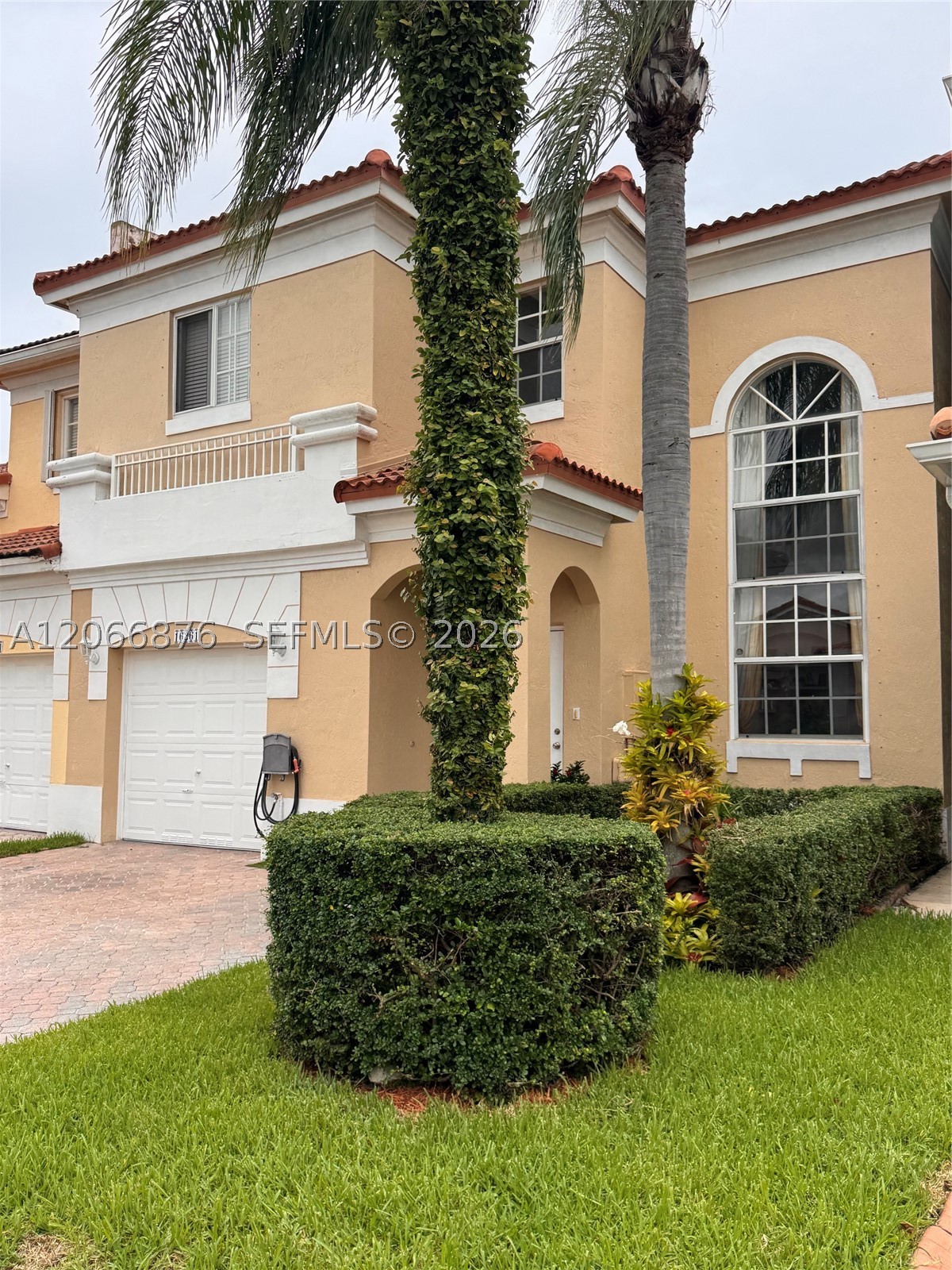 Miami photo 2