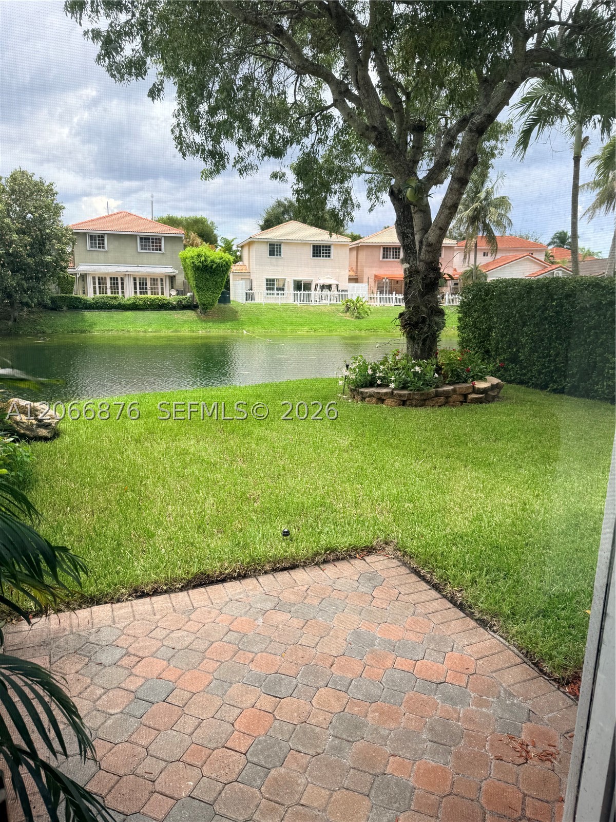 Miami photo 3