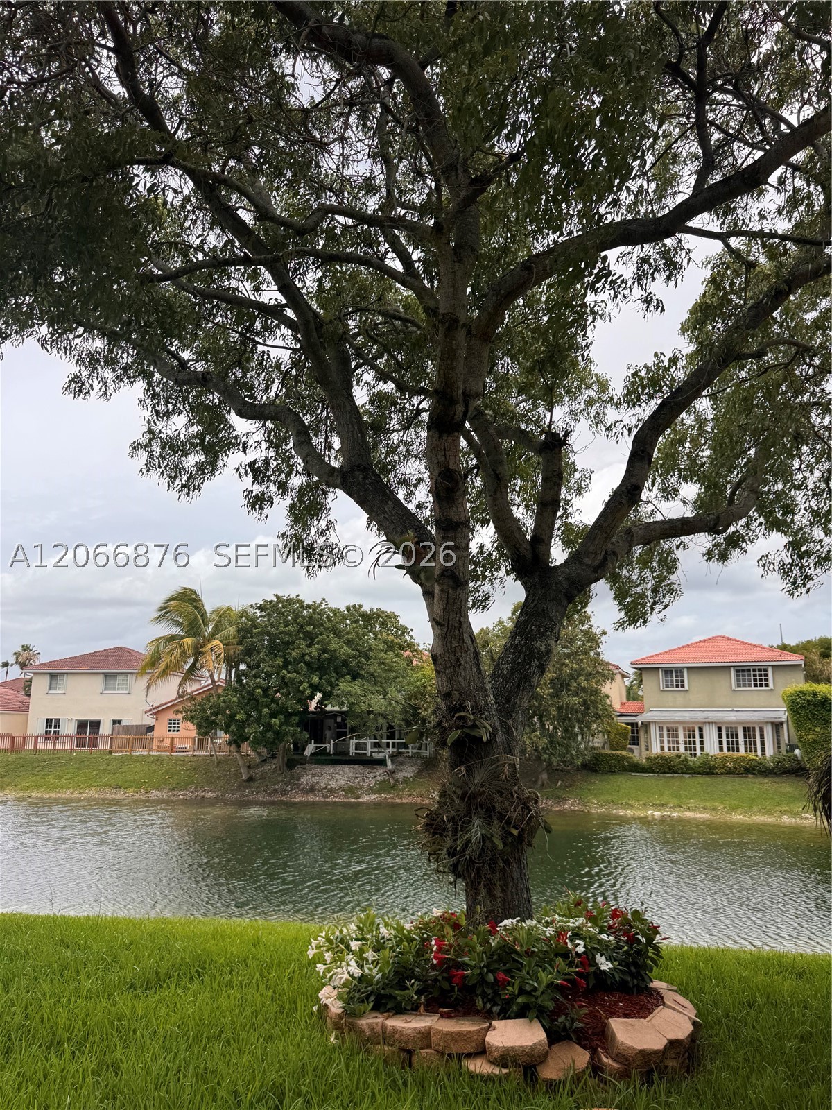 Miami photo 4