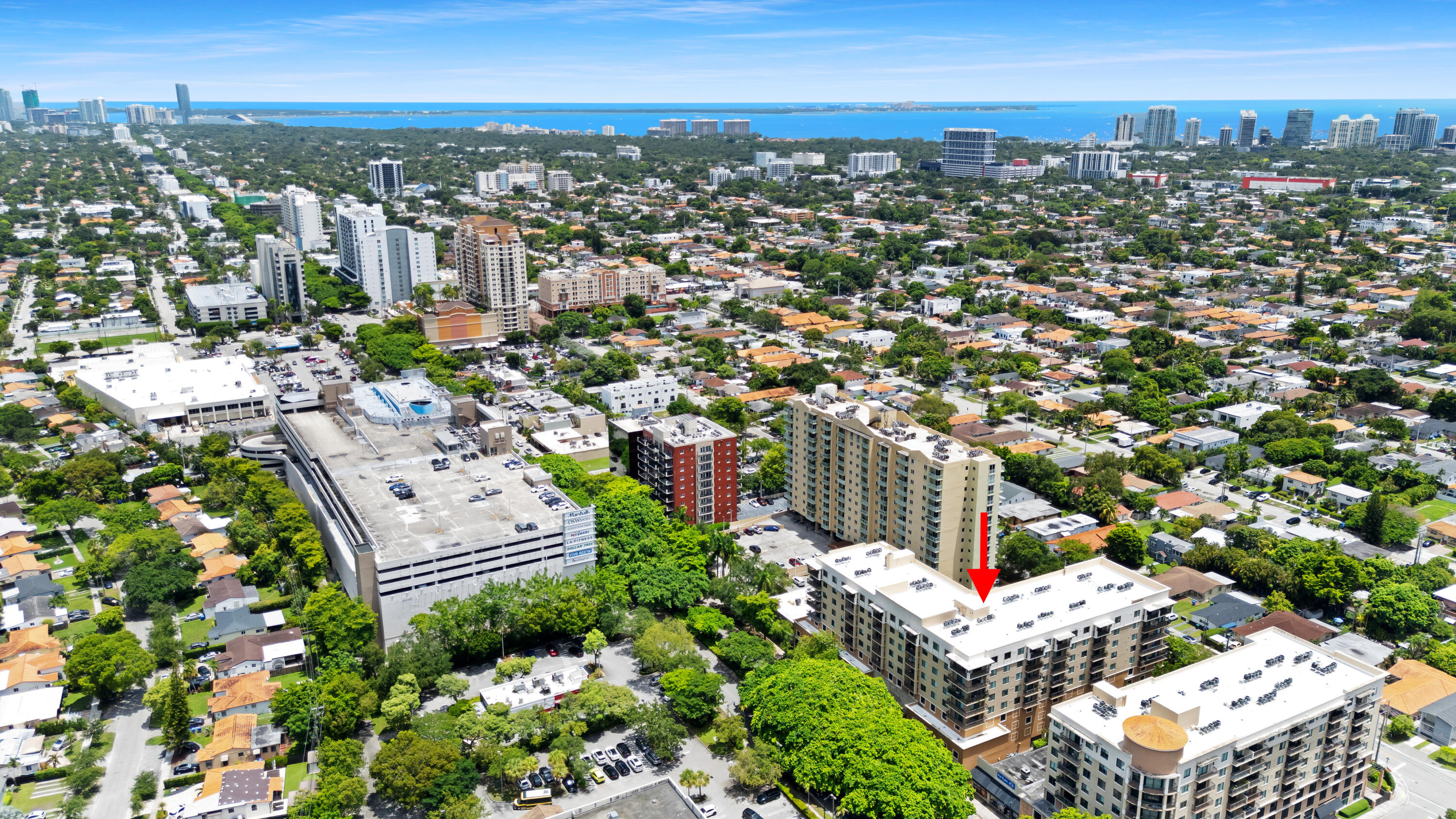 Miami photo 2