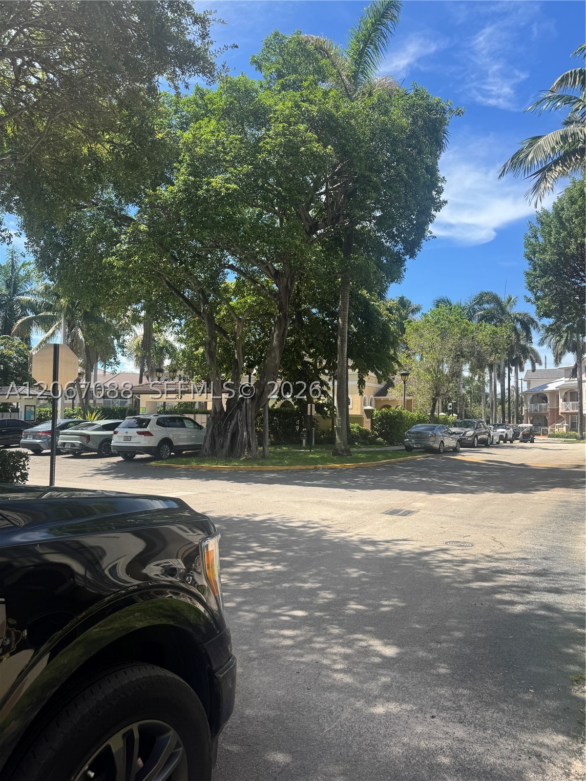 Miami photo 3