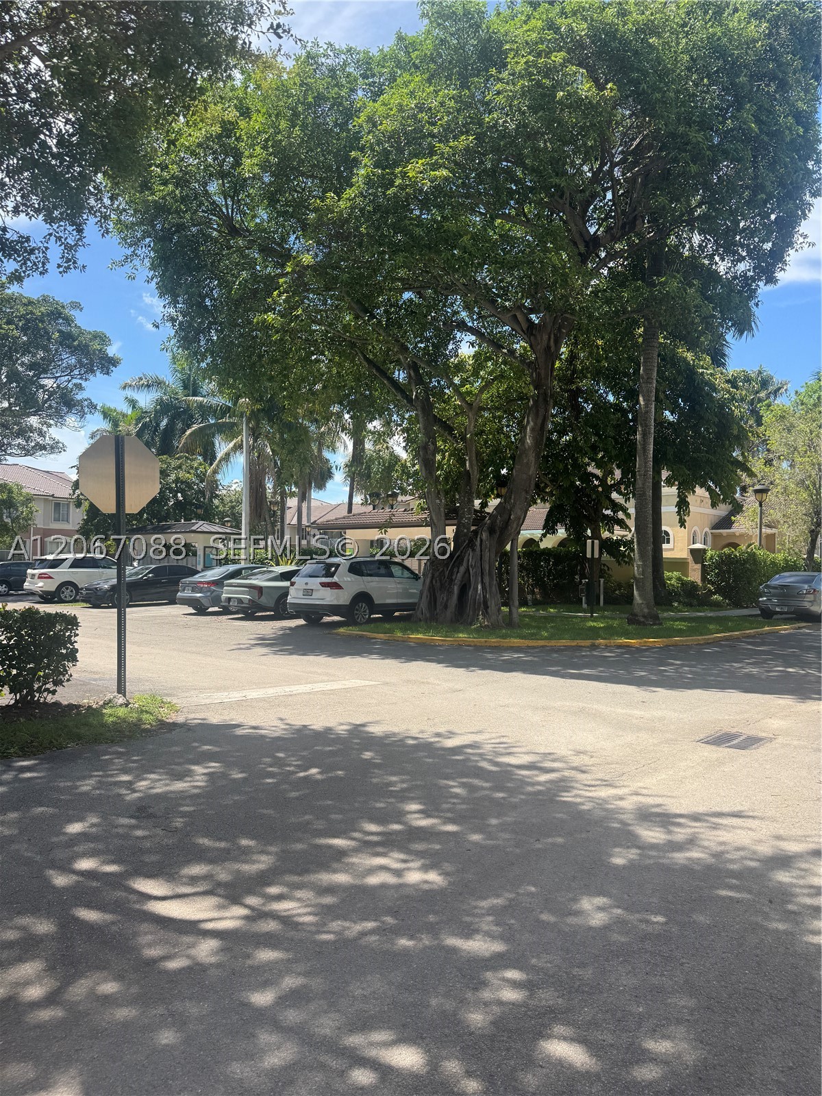 Miami photo 5
