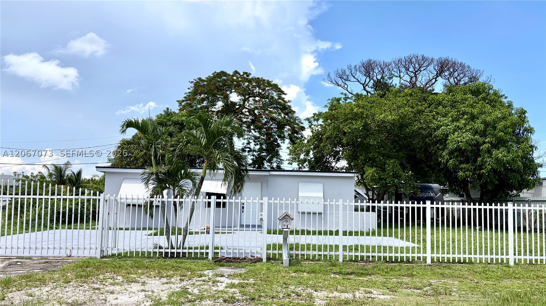 Miami photo 1