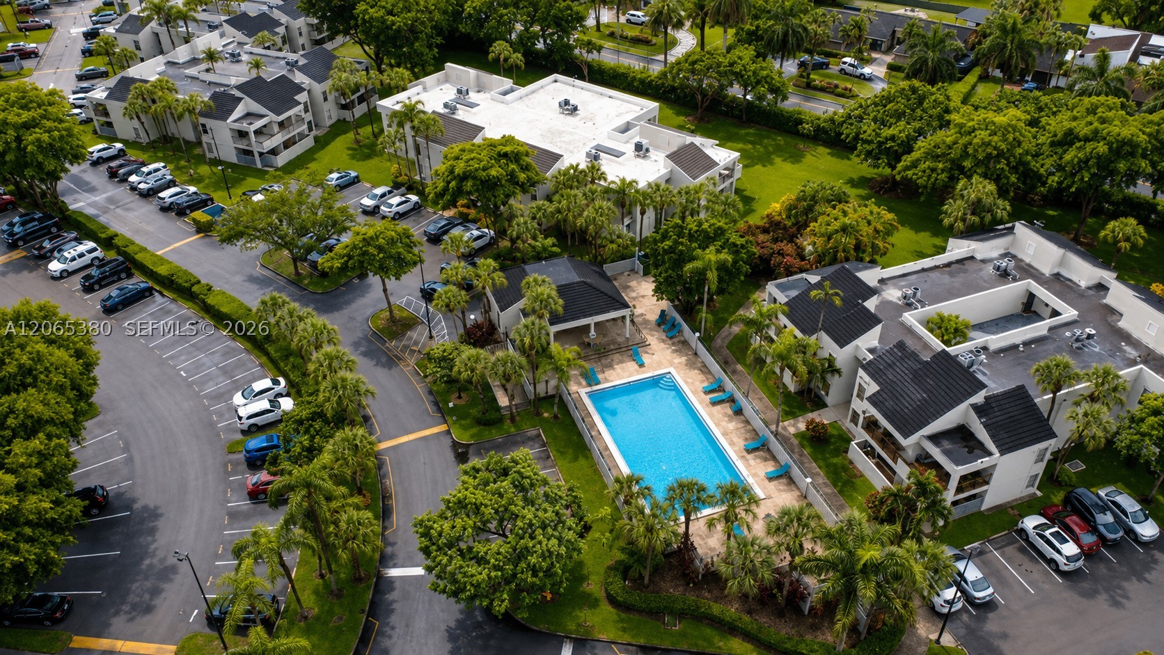 Miami photo 2