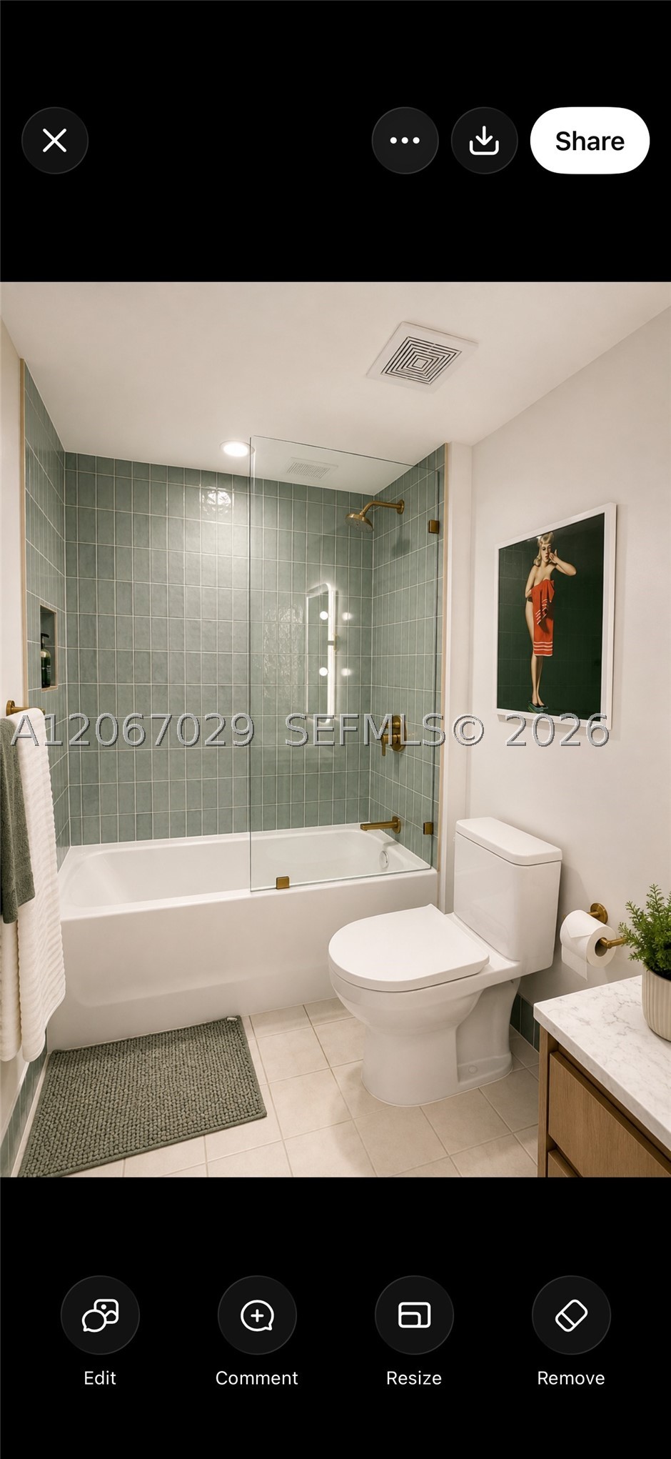 Miami photo 5