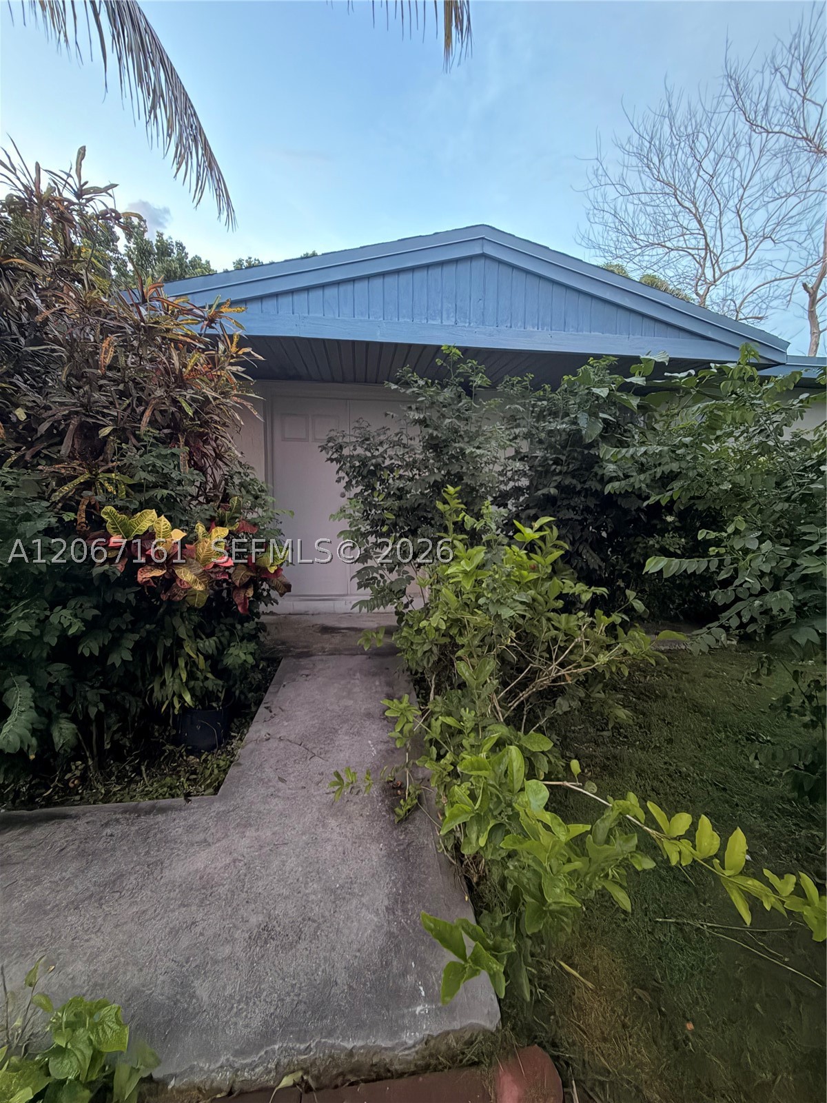 Homestead photo 3