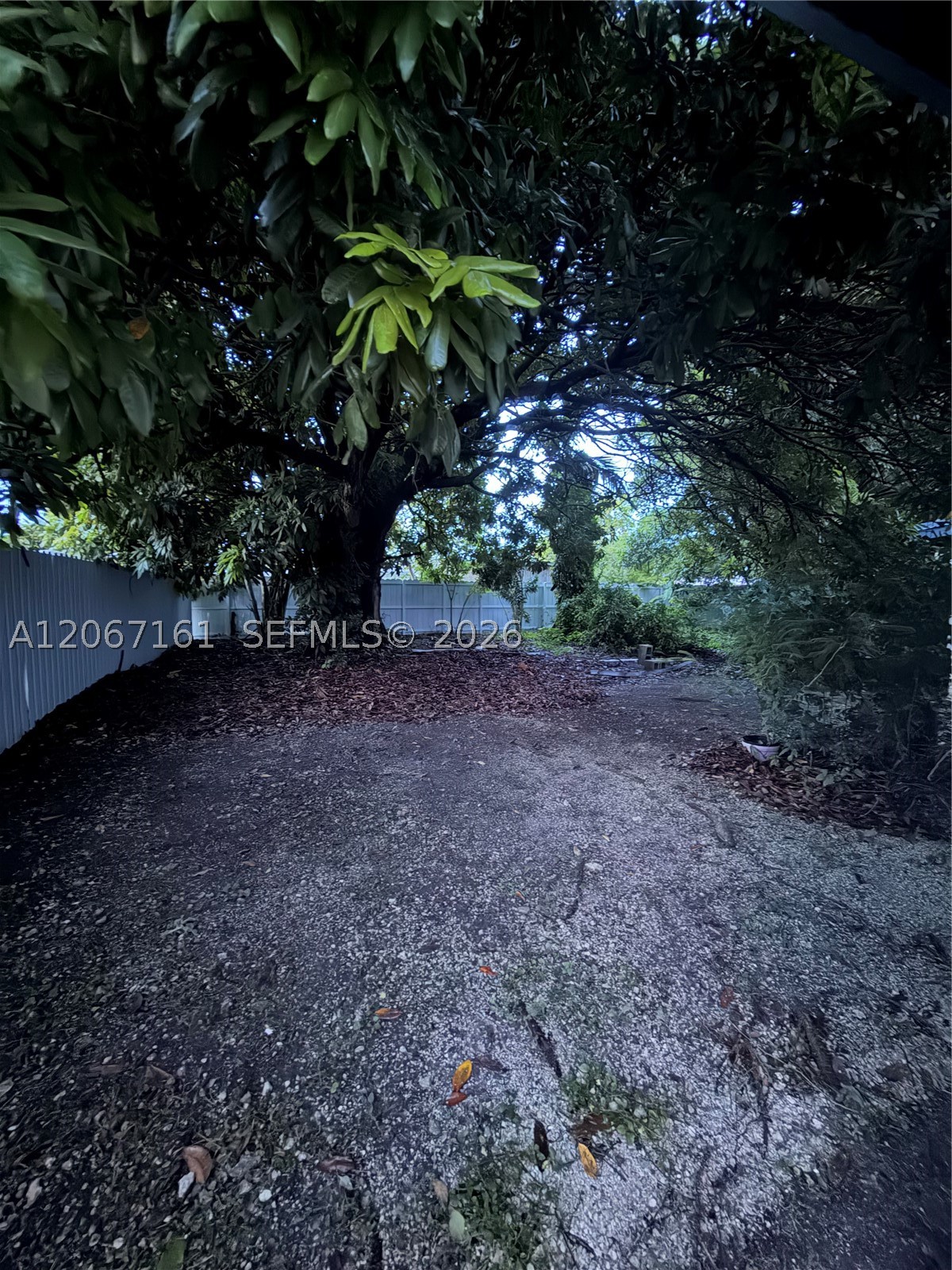Homestead photo 4