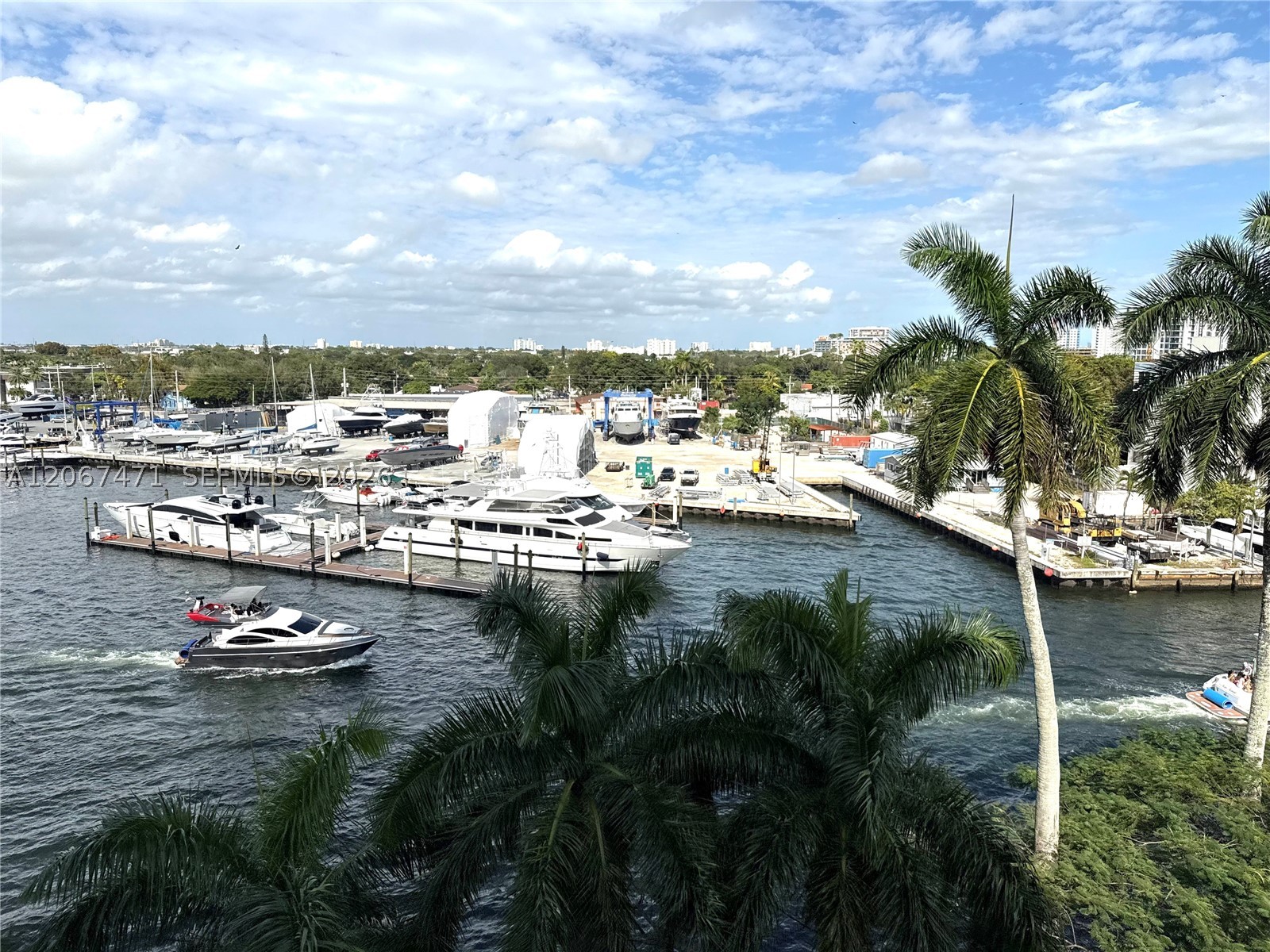Miami photo 5