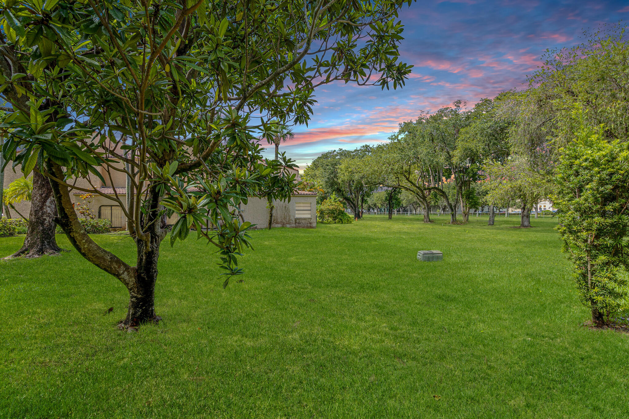 Doral photo 3