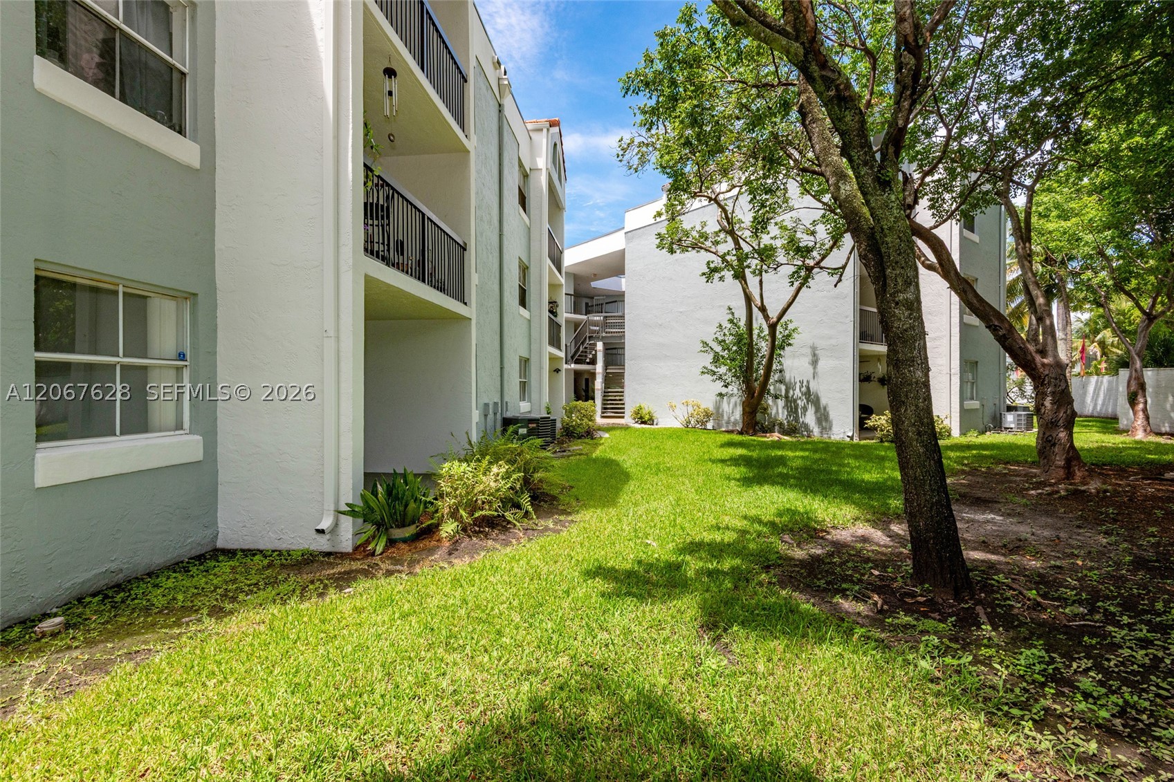 Miami photo 3