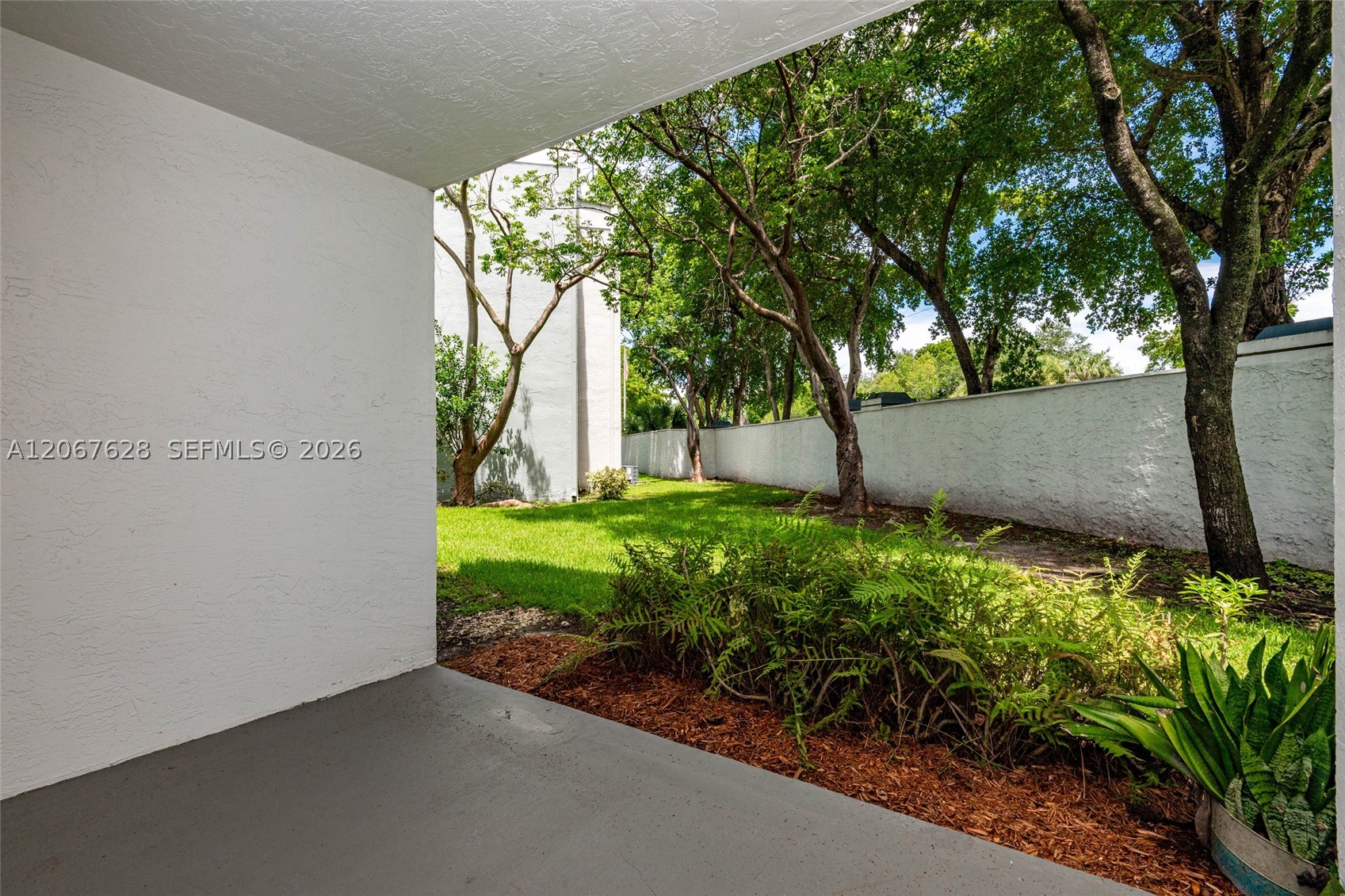 Miami photo 4