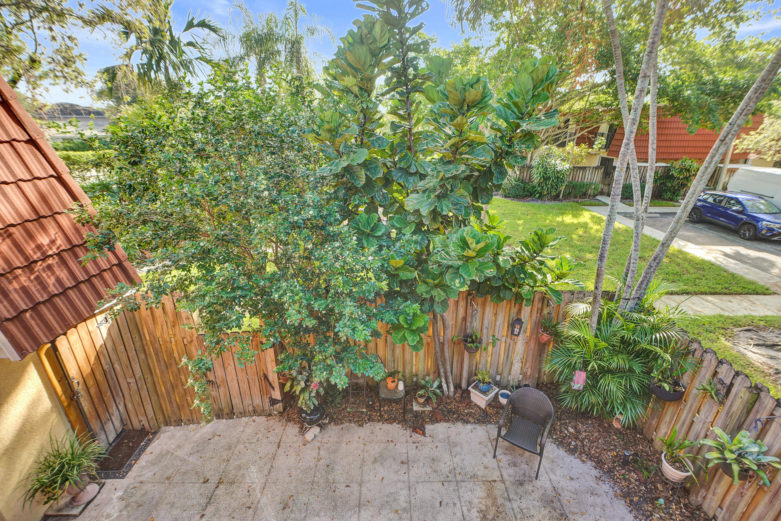 Plantation photo 4