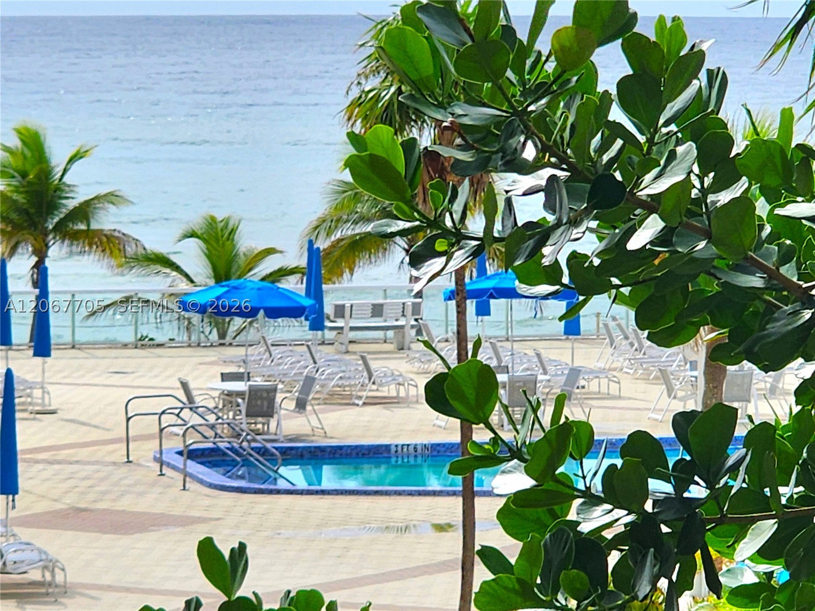 Hallandale Beach photo 2