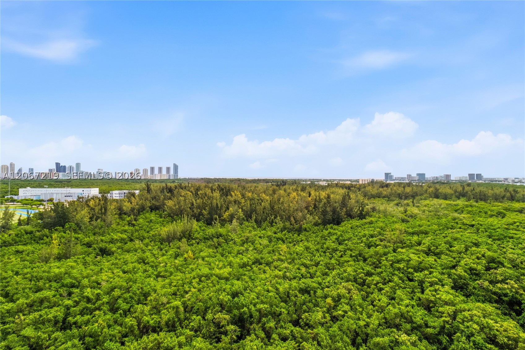 North Miami photo 4