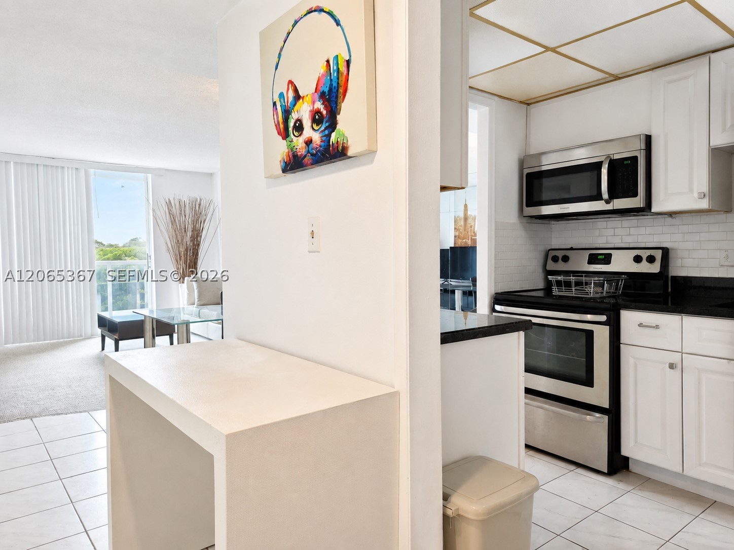 North Miami Beach photo 3