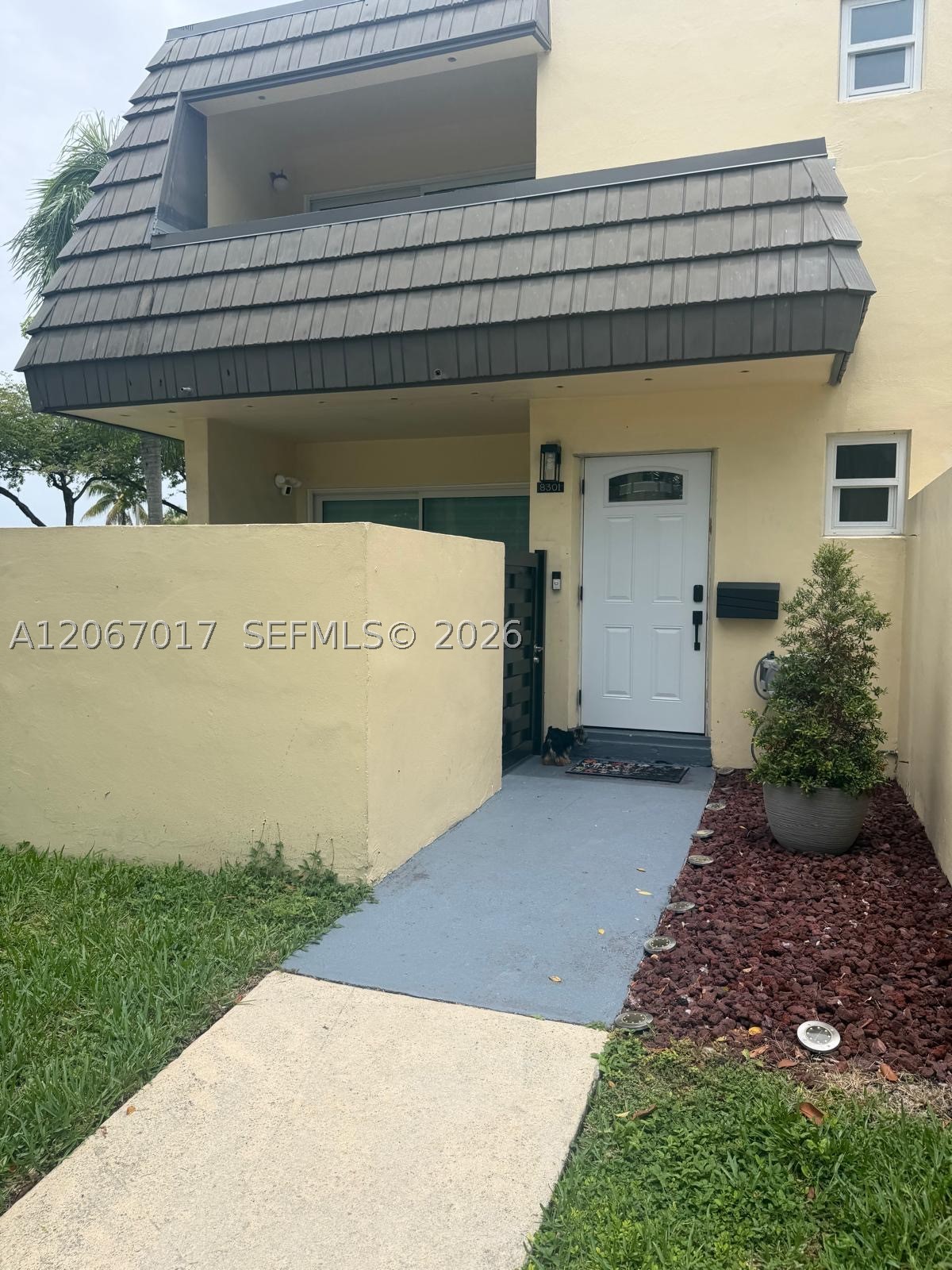 Miami photo 1
