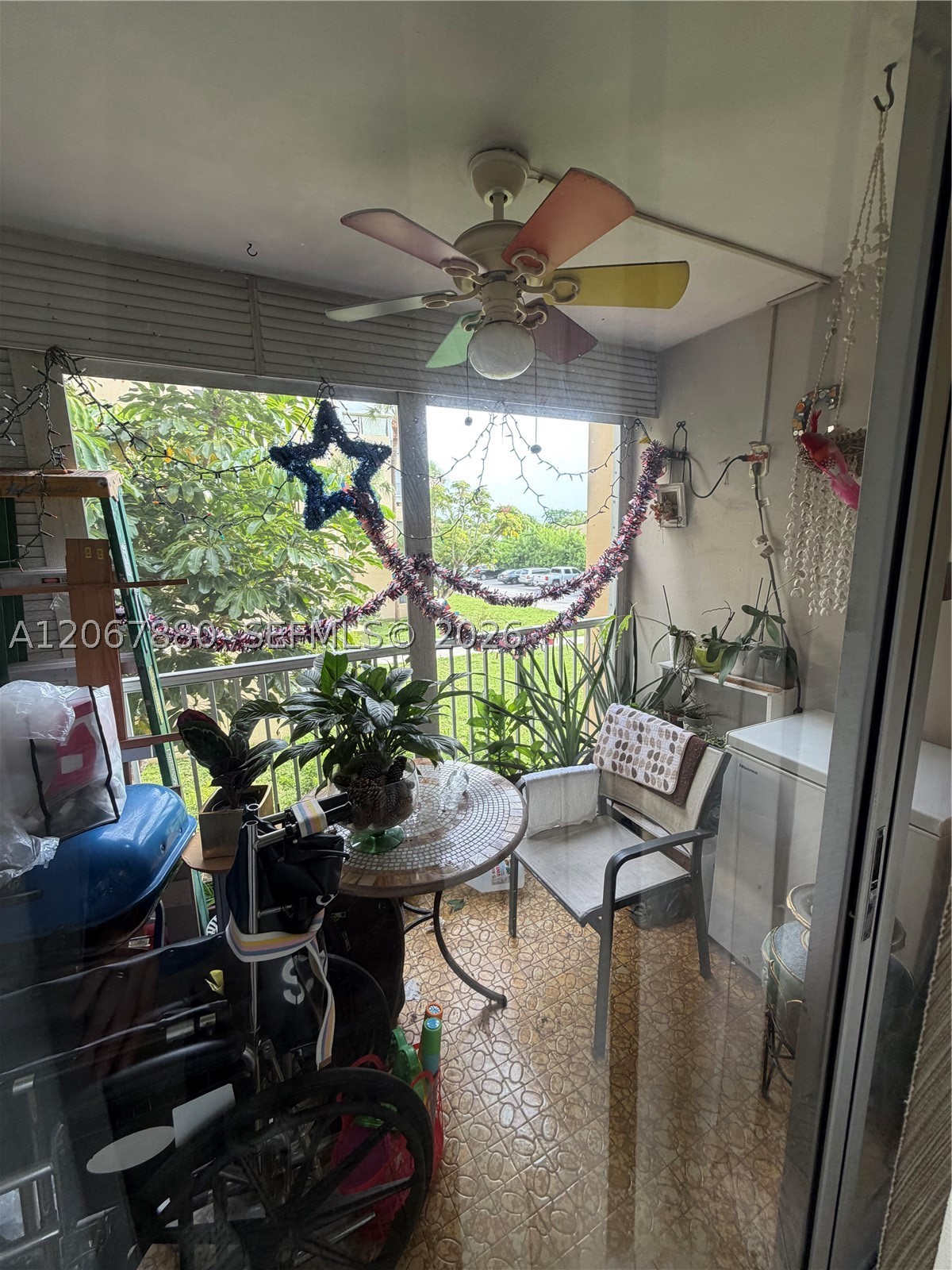 Miami photo 3