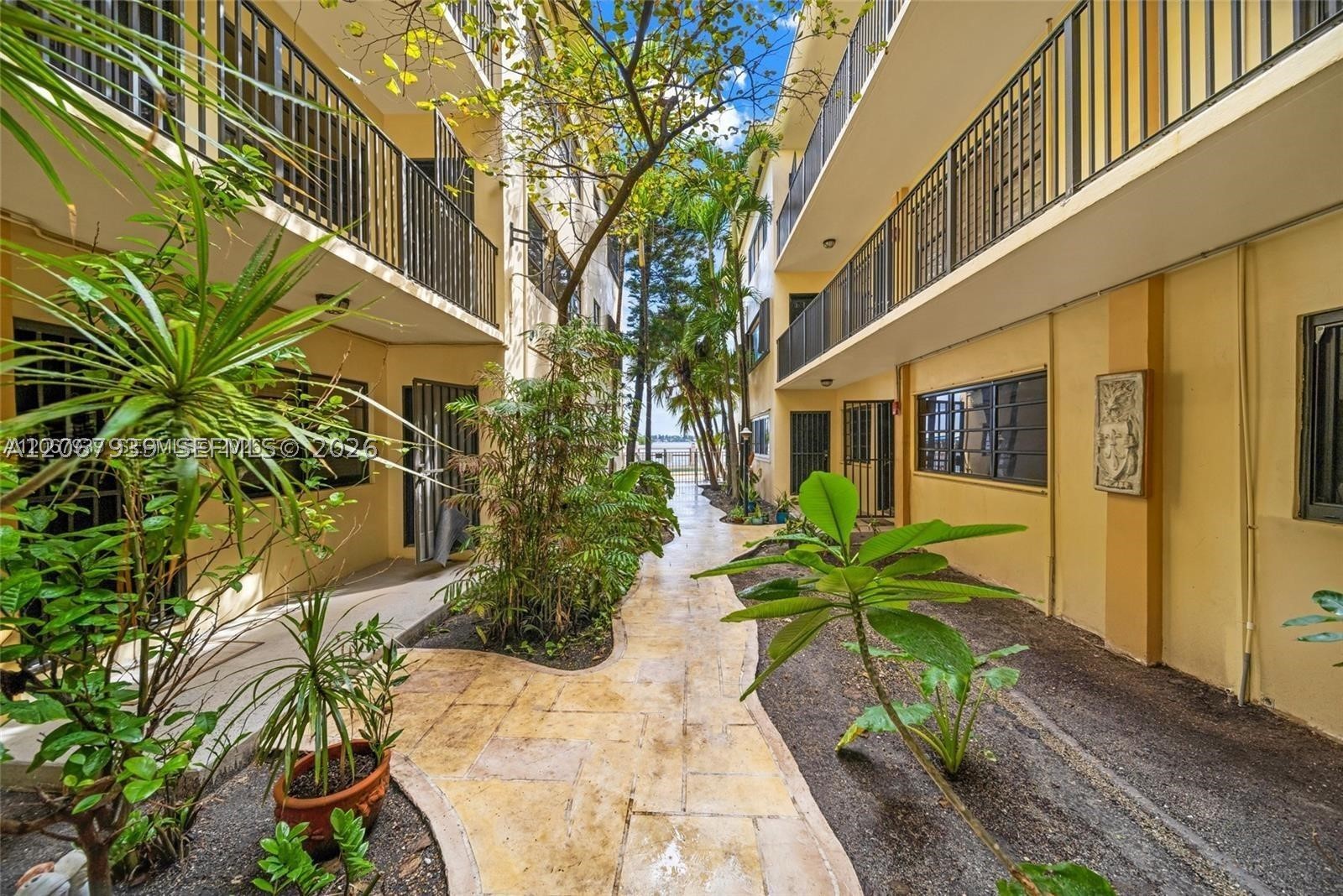 Miami photo 5
