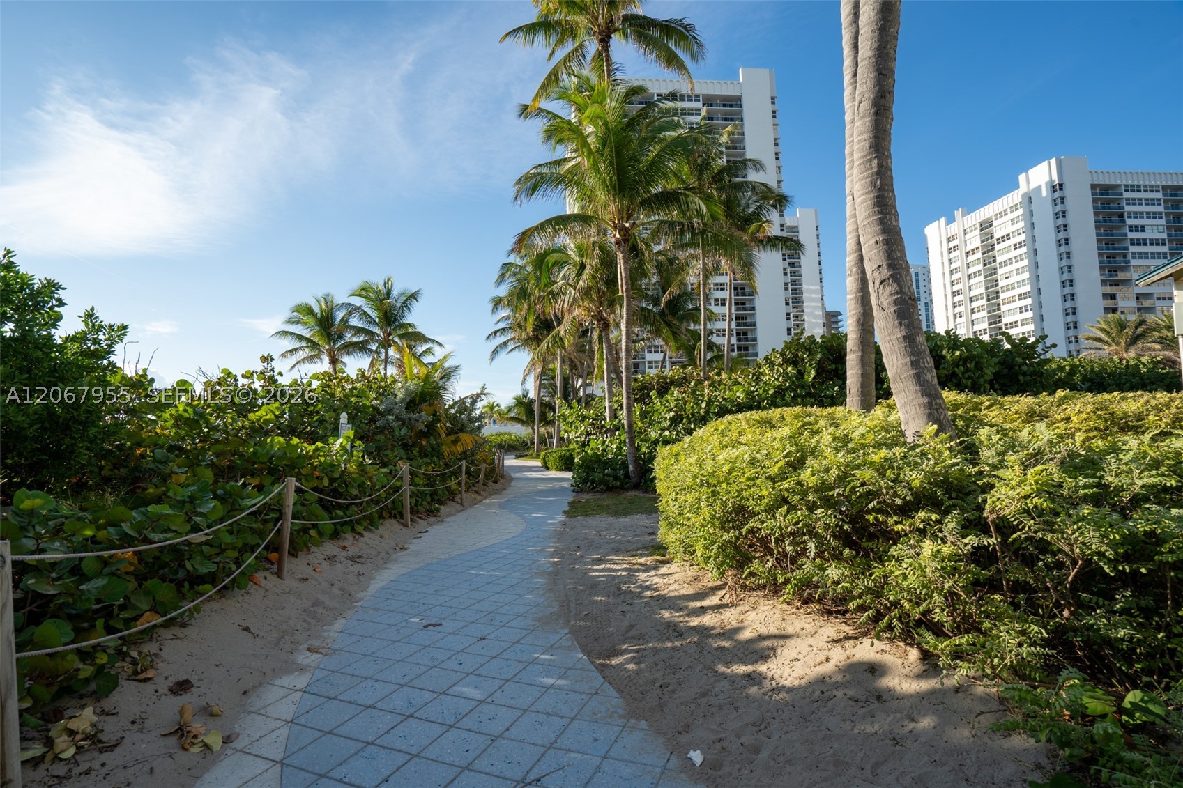 Hallandale Beach photo 2