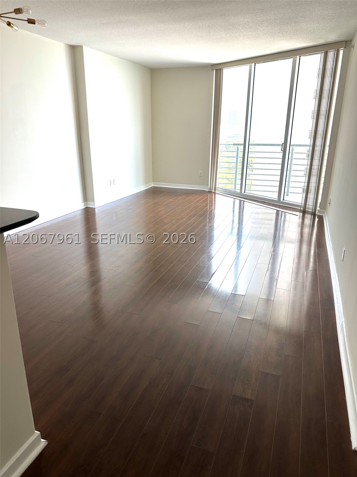 Miami photo 1