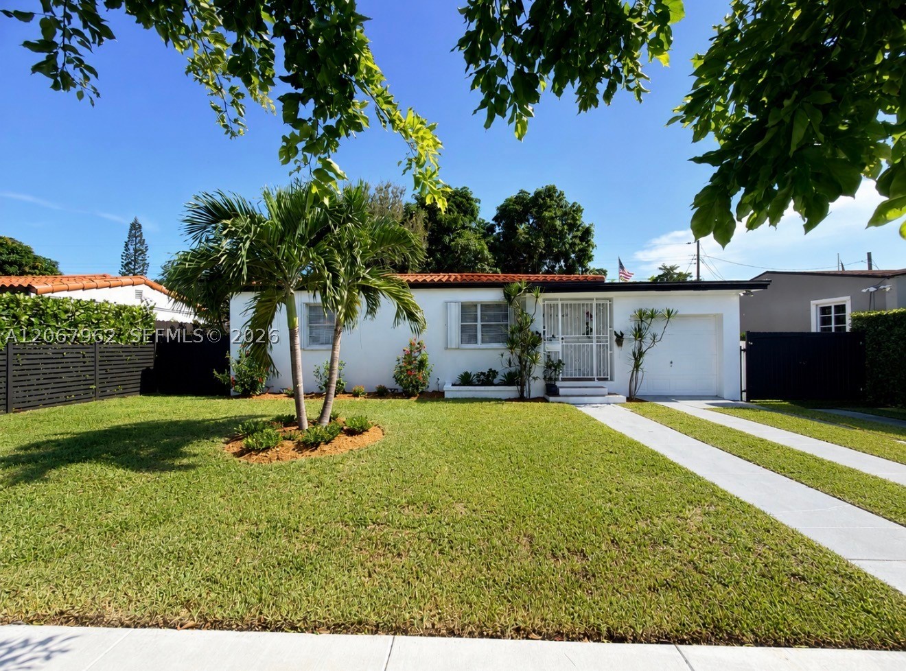 Miami photo 3