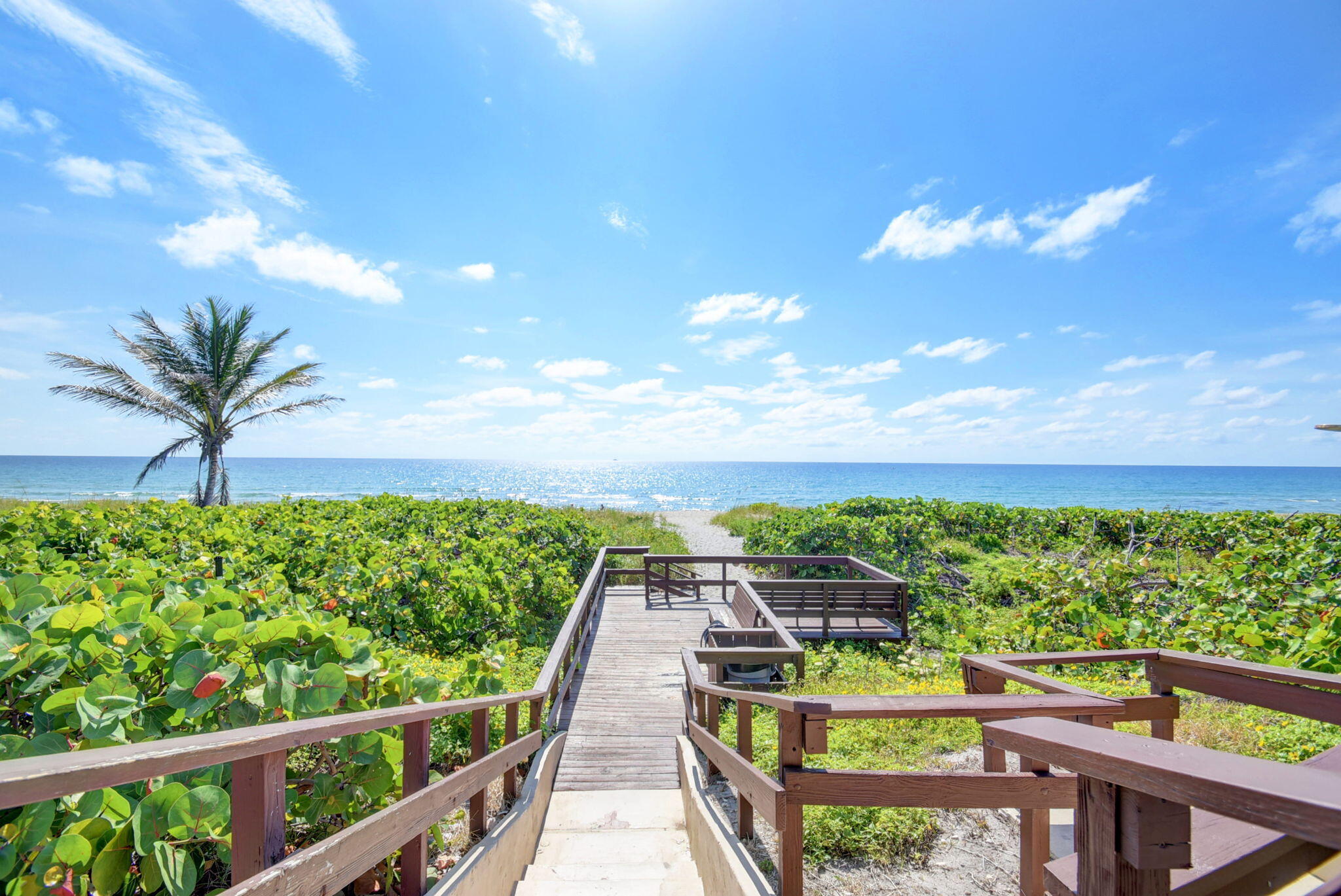 Boca Raton photo 5