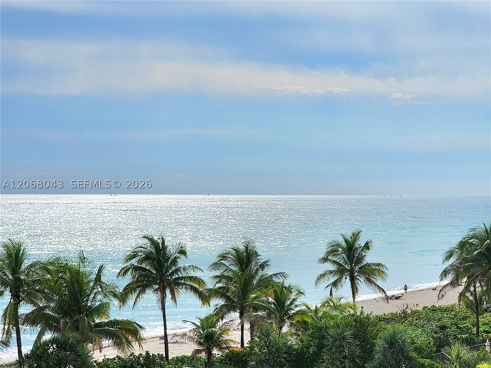 Hallandale Beach photo 3