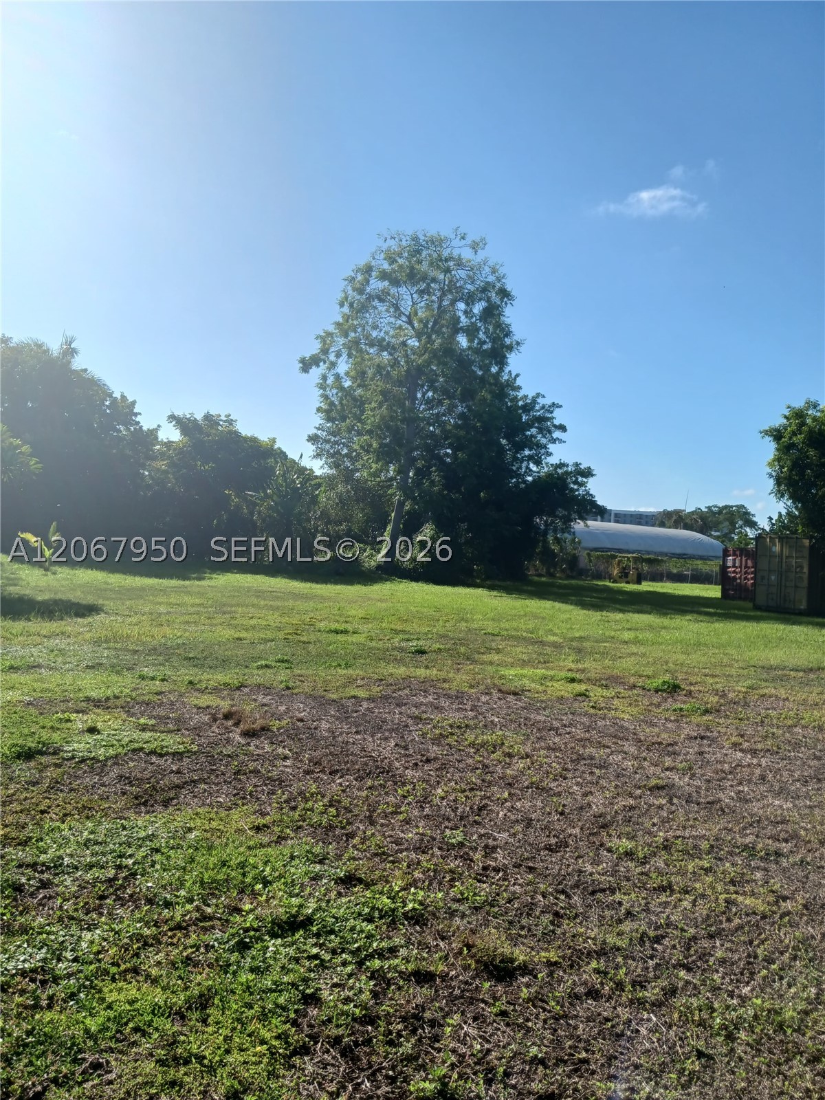 Homestead photo 4