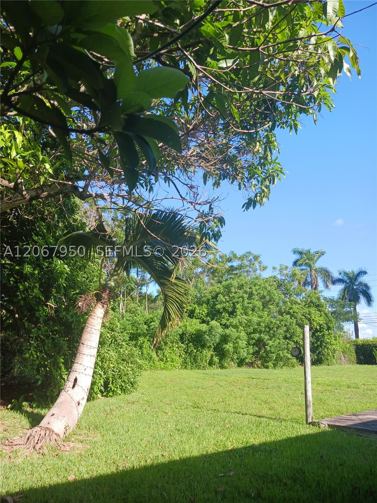 Homestead photo 5