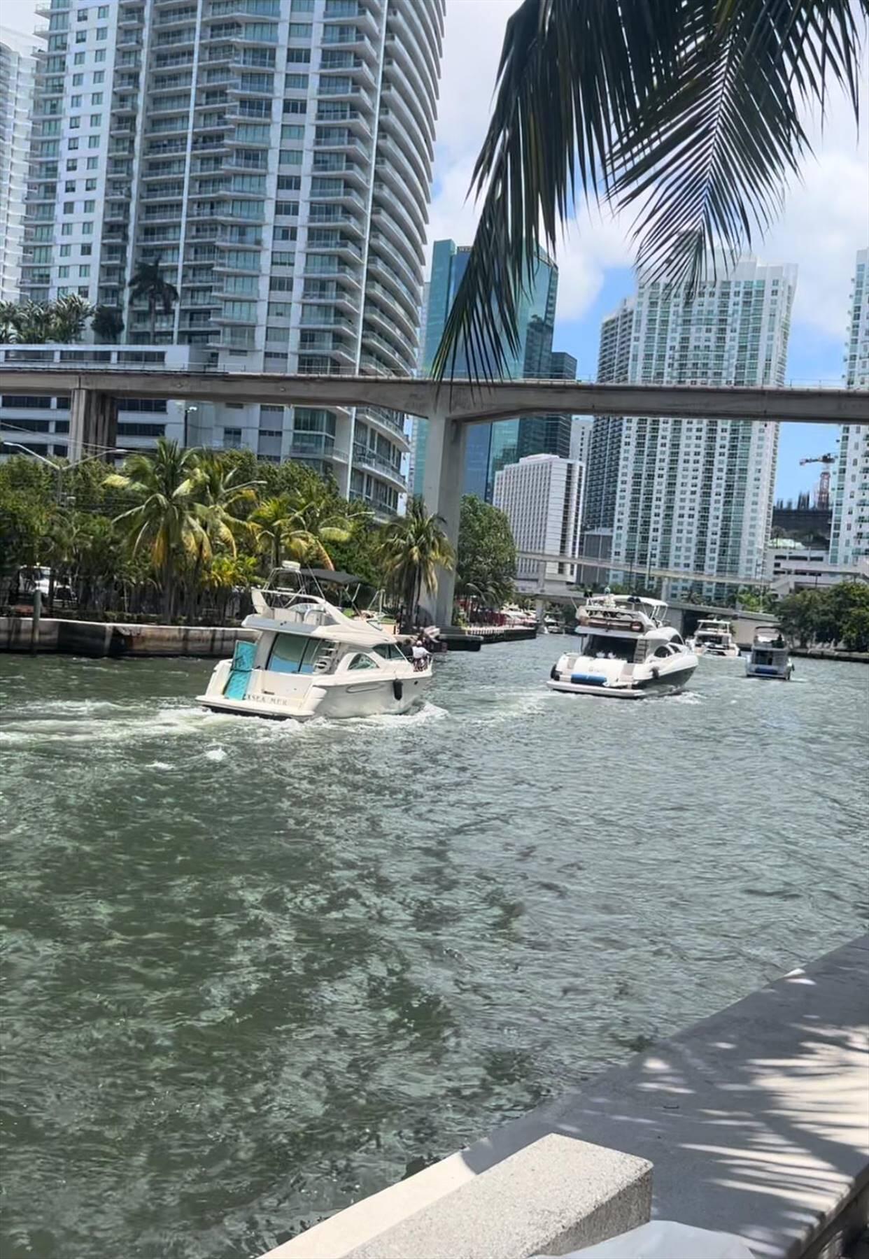 Miami photo 2