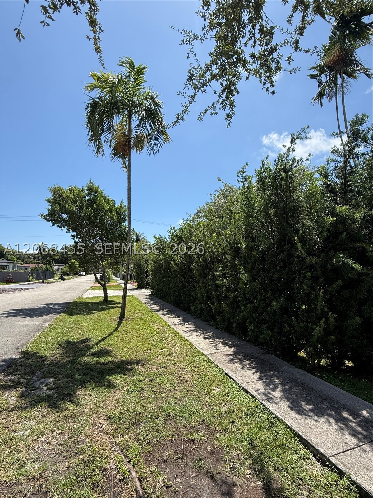 North Miami photo 4