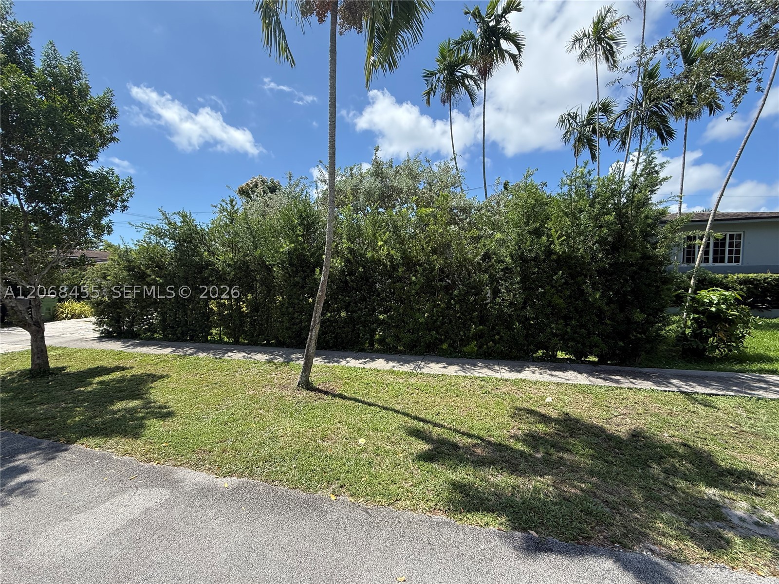 North Miami photo 5