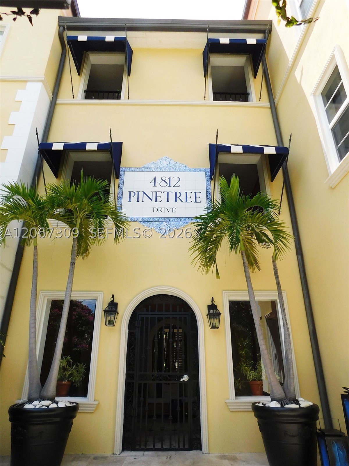Miami Beach photo 1