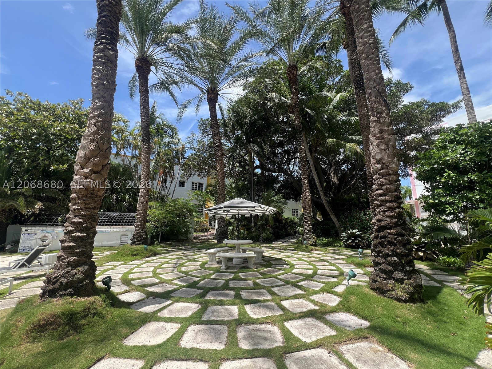 Miami Beach photo 4