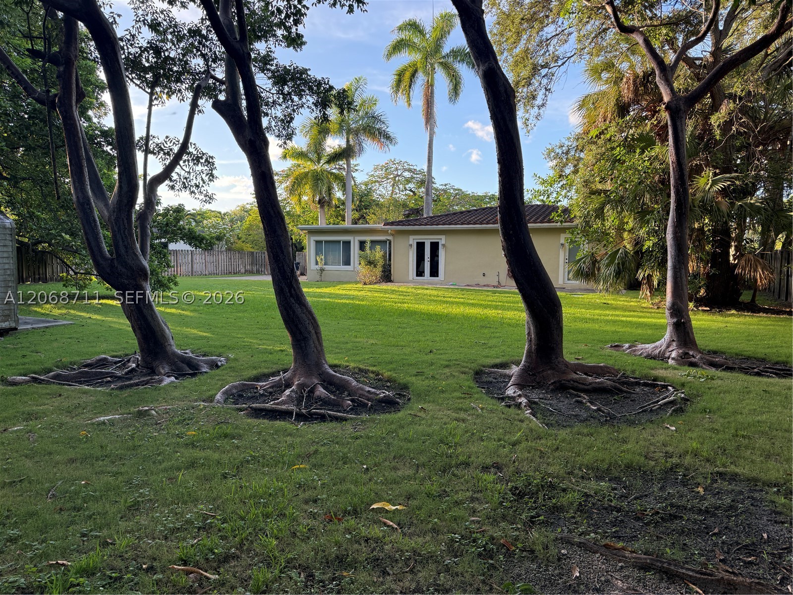 South Miami photo 5