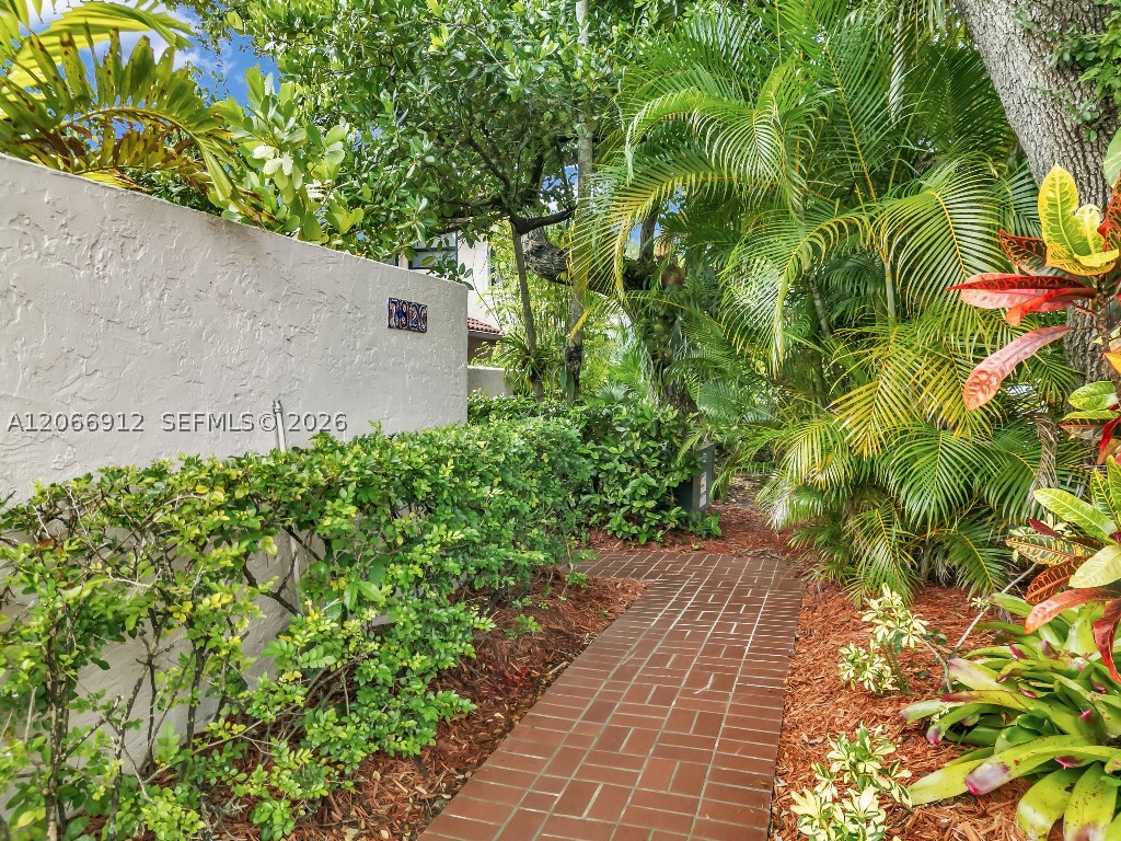 Miami photo 1