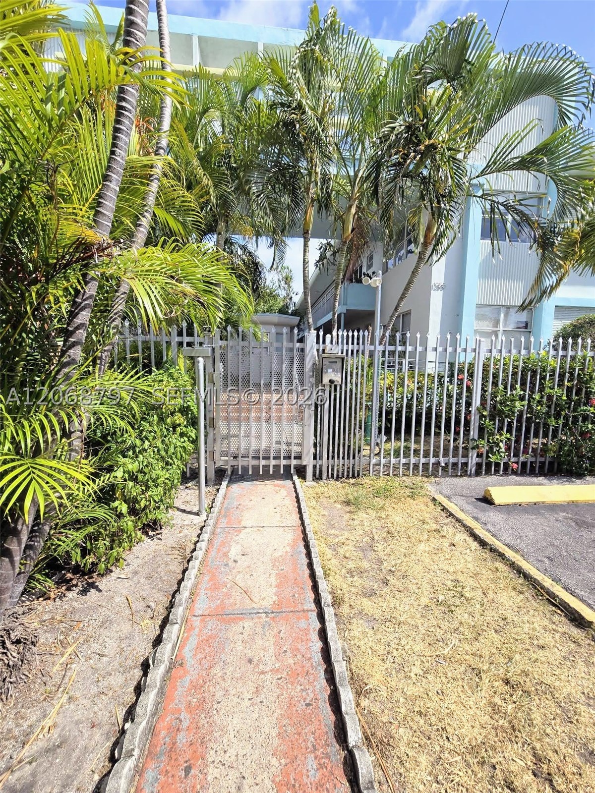 Miami Beach photo 5