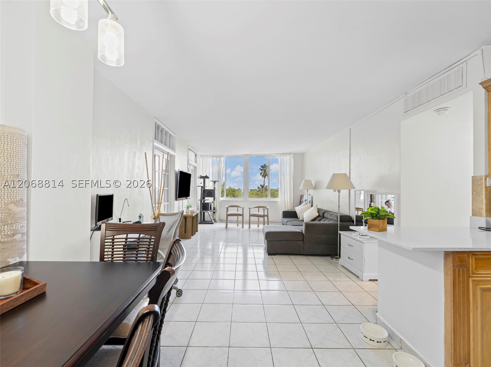 Miami Beach photo 3