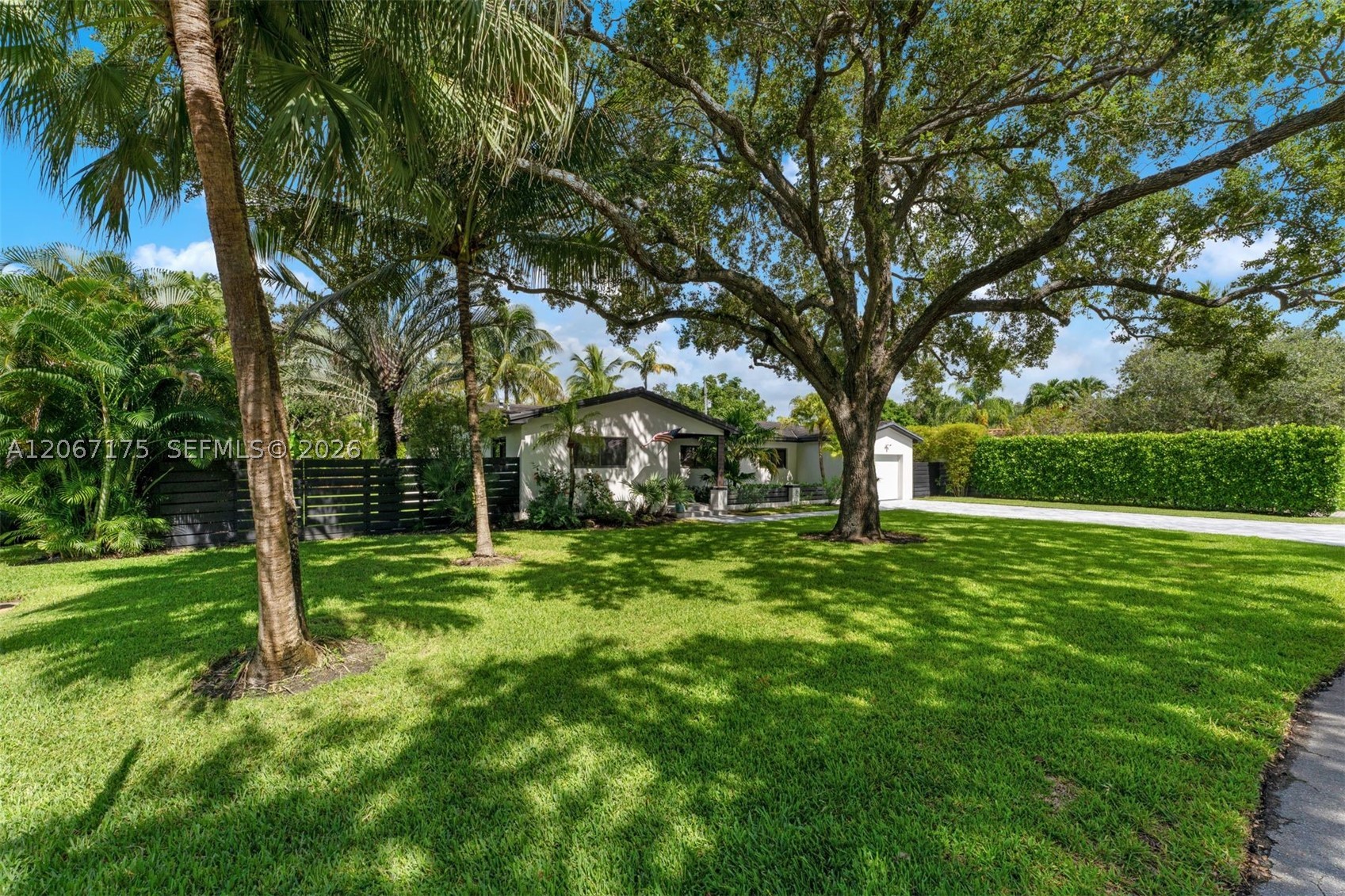 Miami photo 2