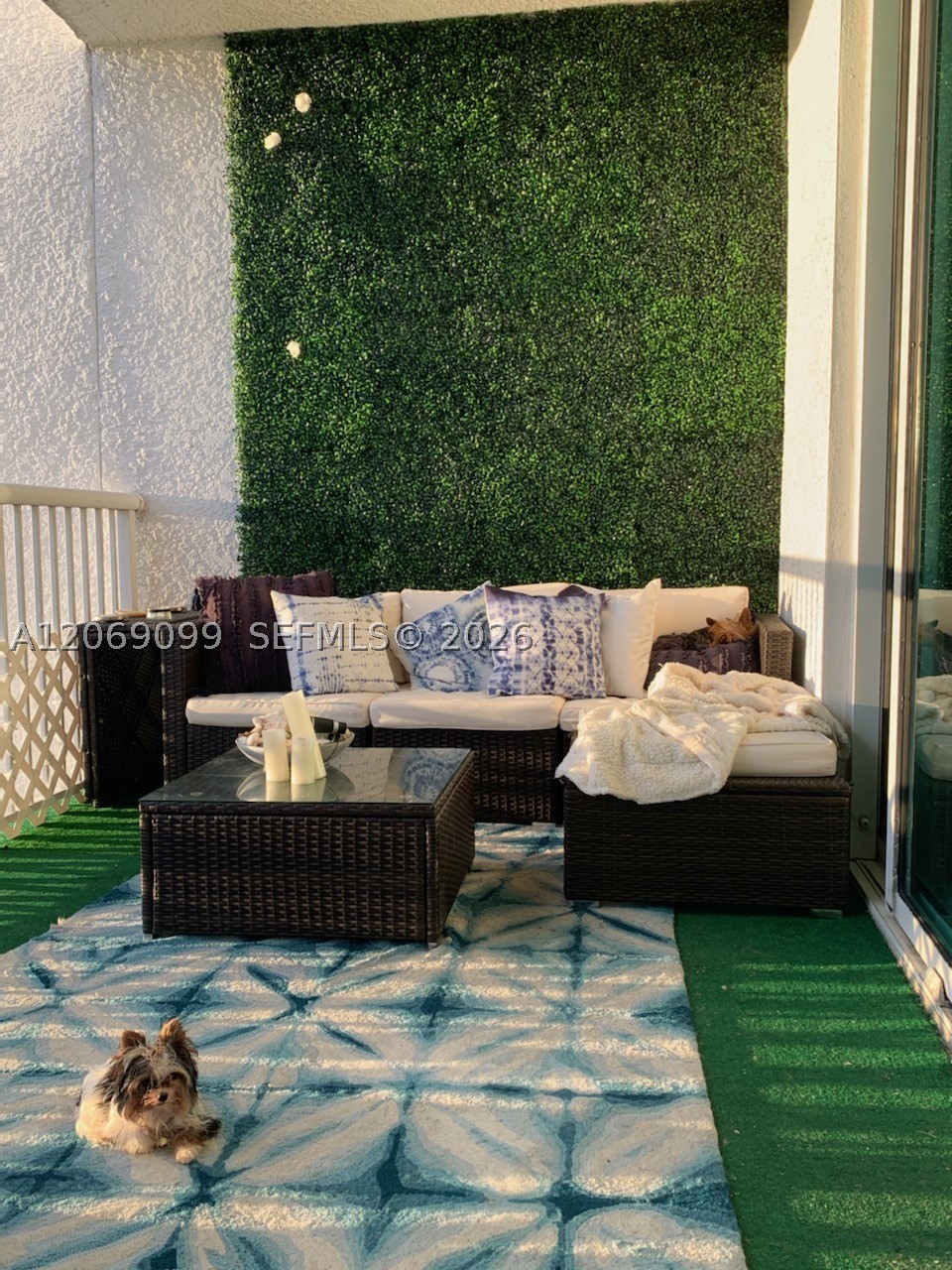 North Miami photo 3