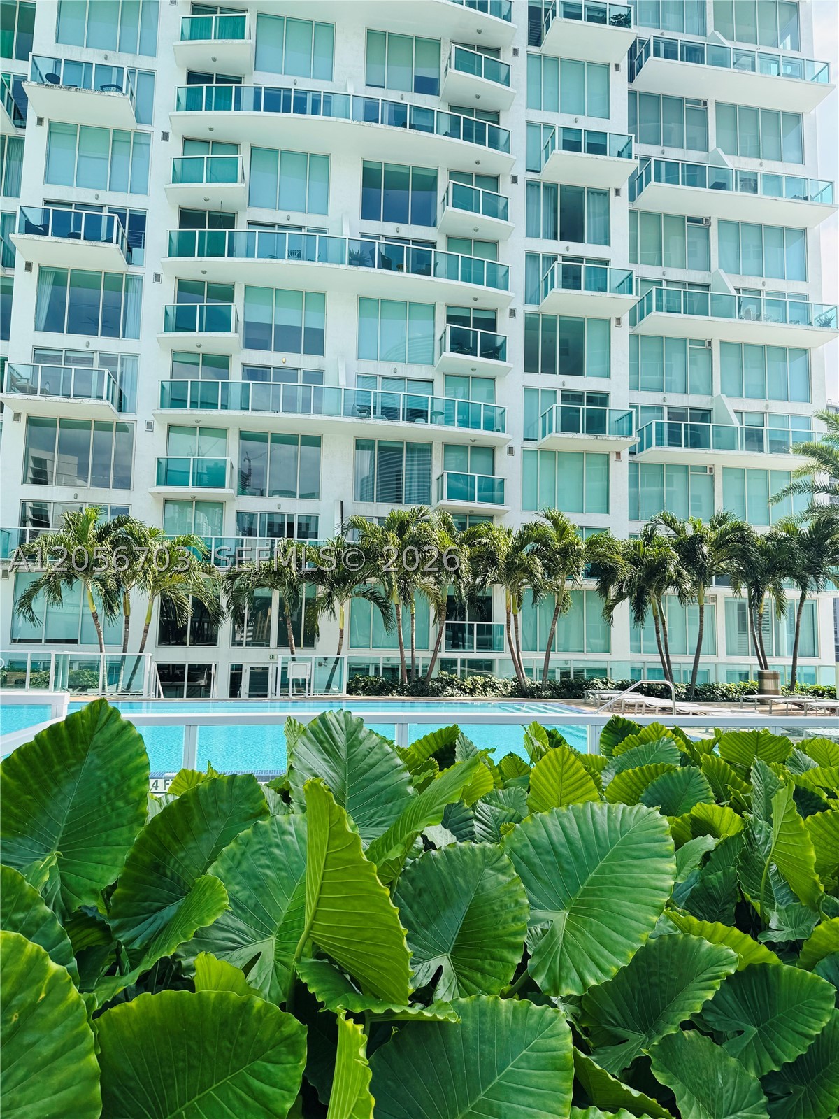 Miami photo 3