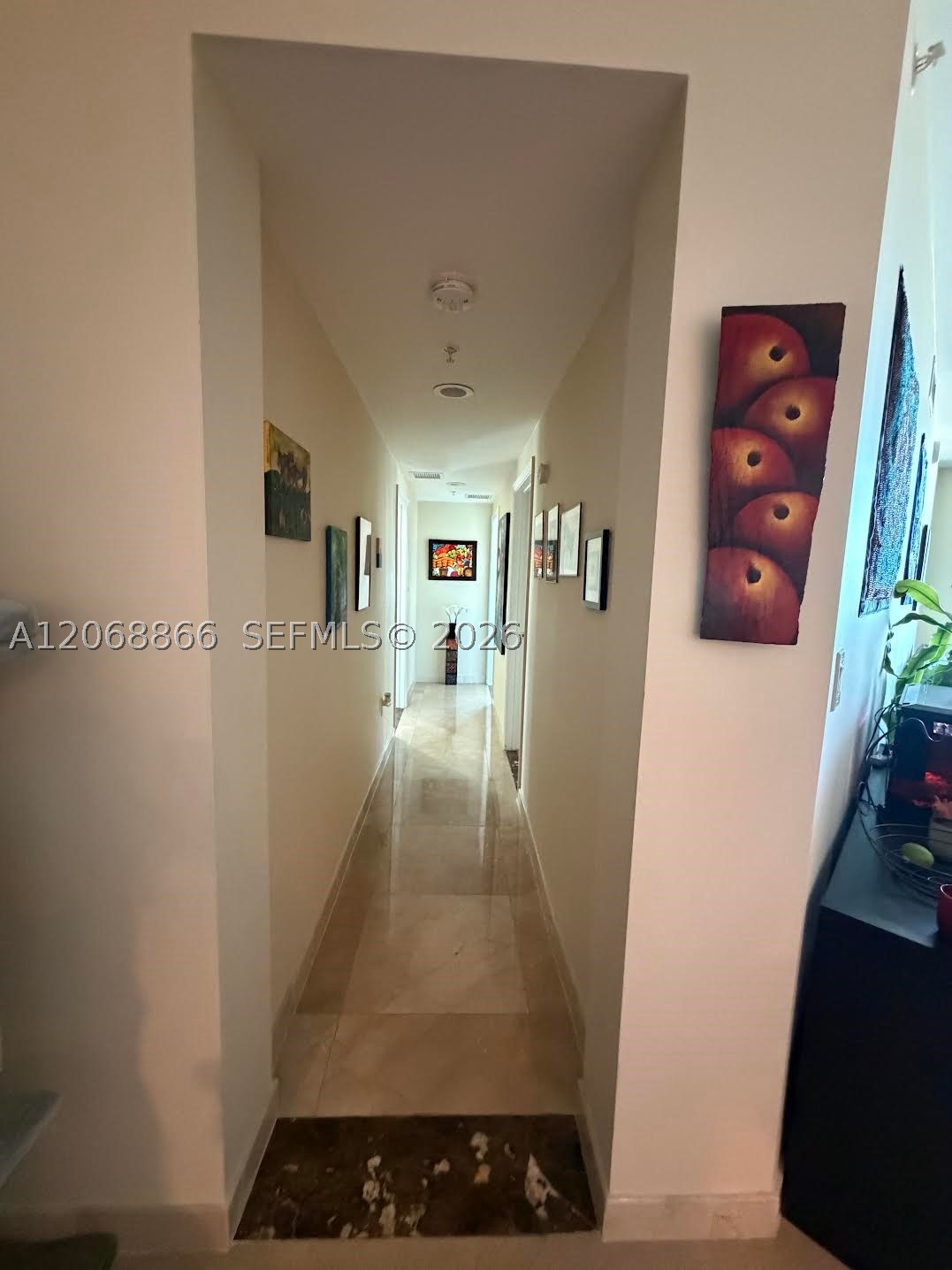 Miami photo 5