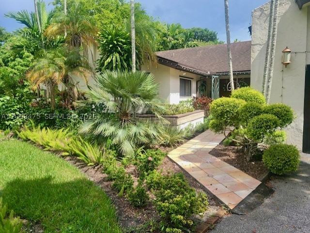 Miami photo 2