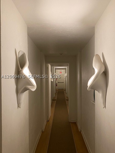 Miami Beach photo 3