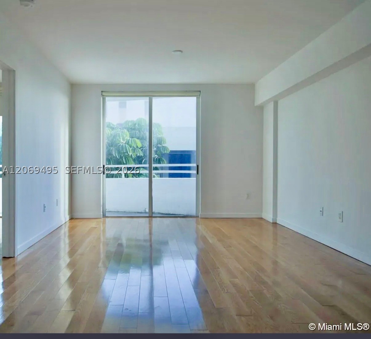 Surfside photo 3