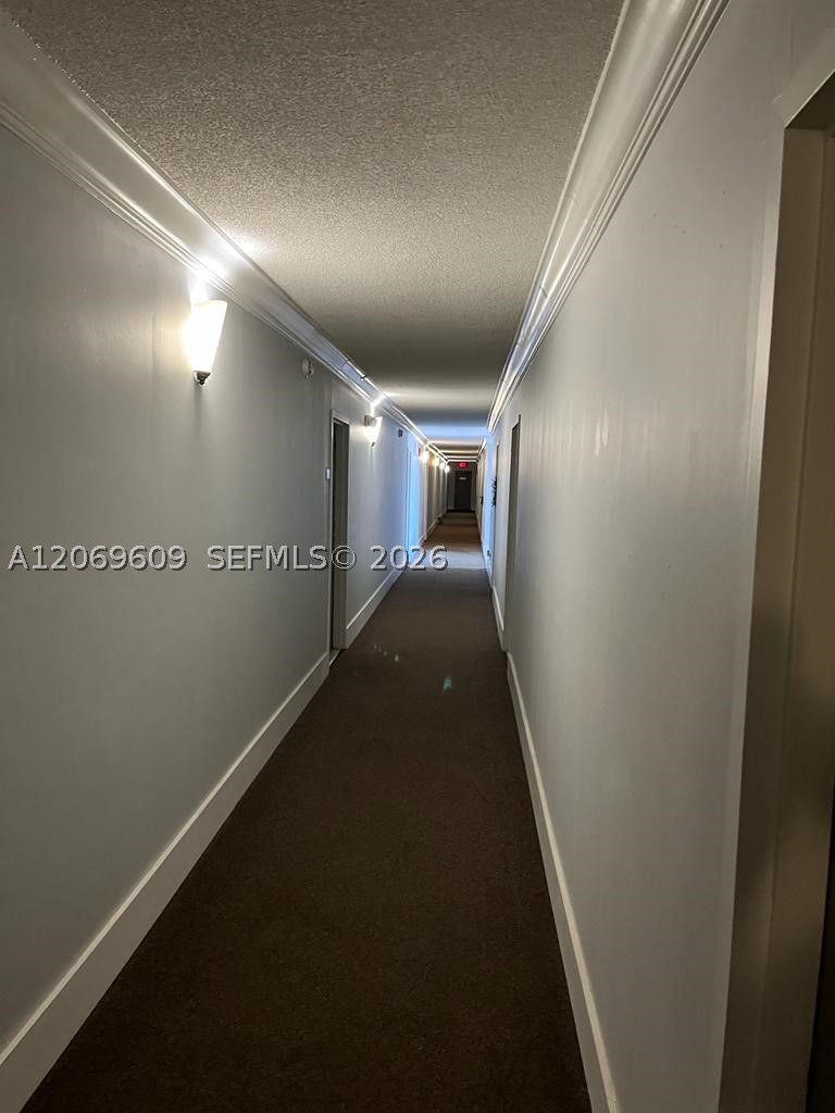North Miami photo 4