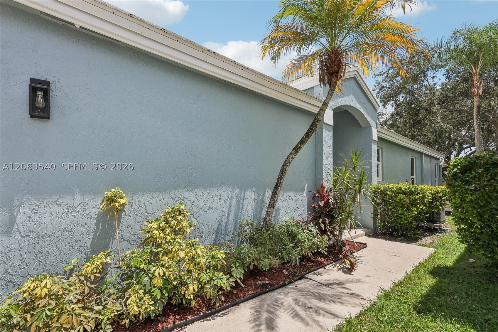 Plantation photo 5